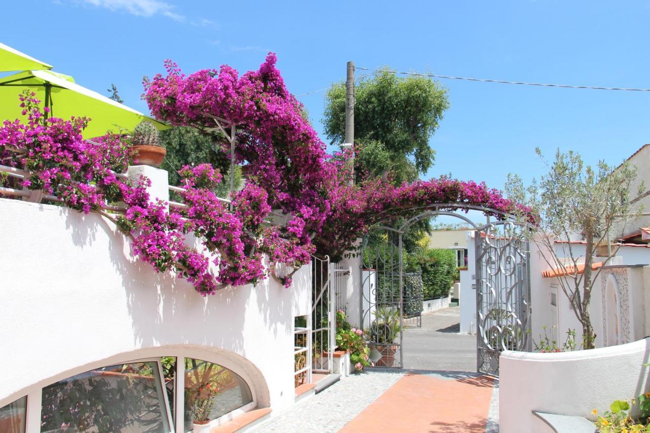 Hotel Villa Cecilia Ischia Eksteriør billede