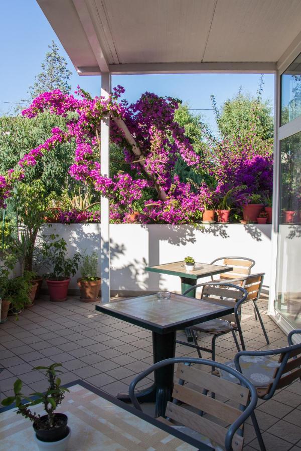 Hotel Villa Cecilia Ischia Eksteriør billede