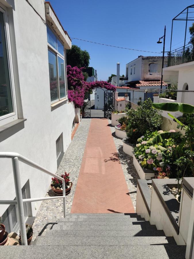 Hotel Villa Cecilia Ischia Eksteriør billede