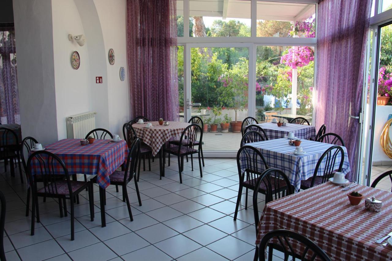 Hotel Villa Cecilia Ischia Eksteriør billede